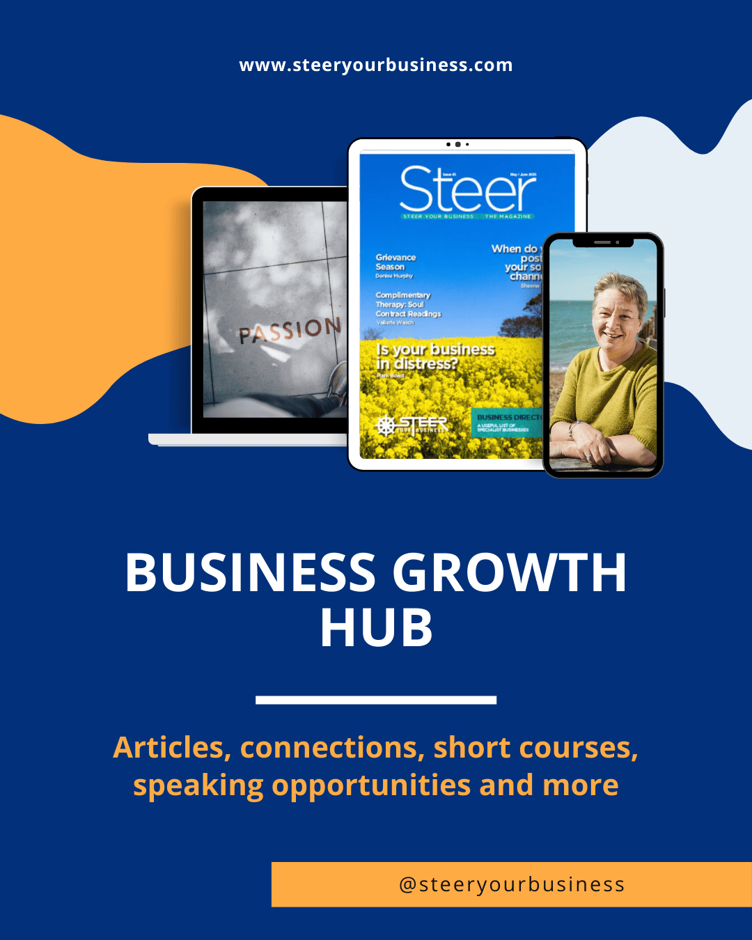 Business Growth Hub blue